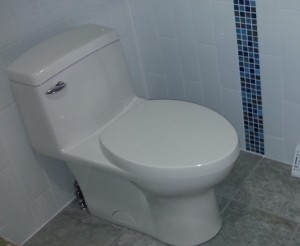 Compact Round Front Toilet